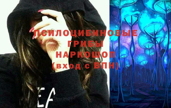 2c-b Лиски