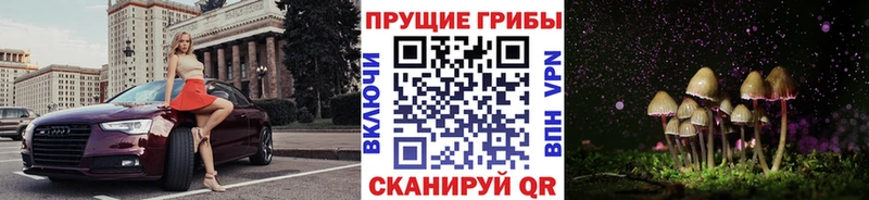 Купить где  Пестово  Галлюциногенные грибы Magic Shrooms 